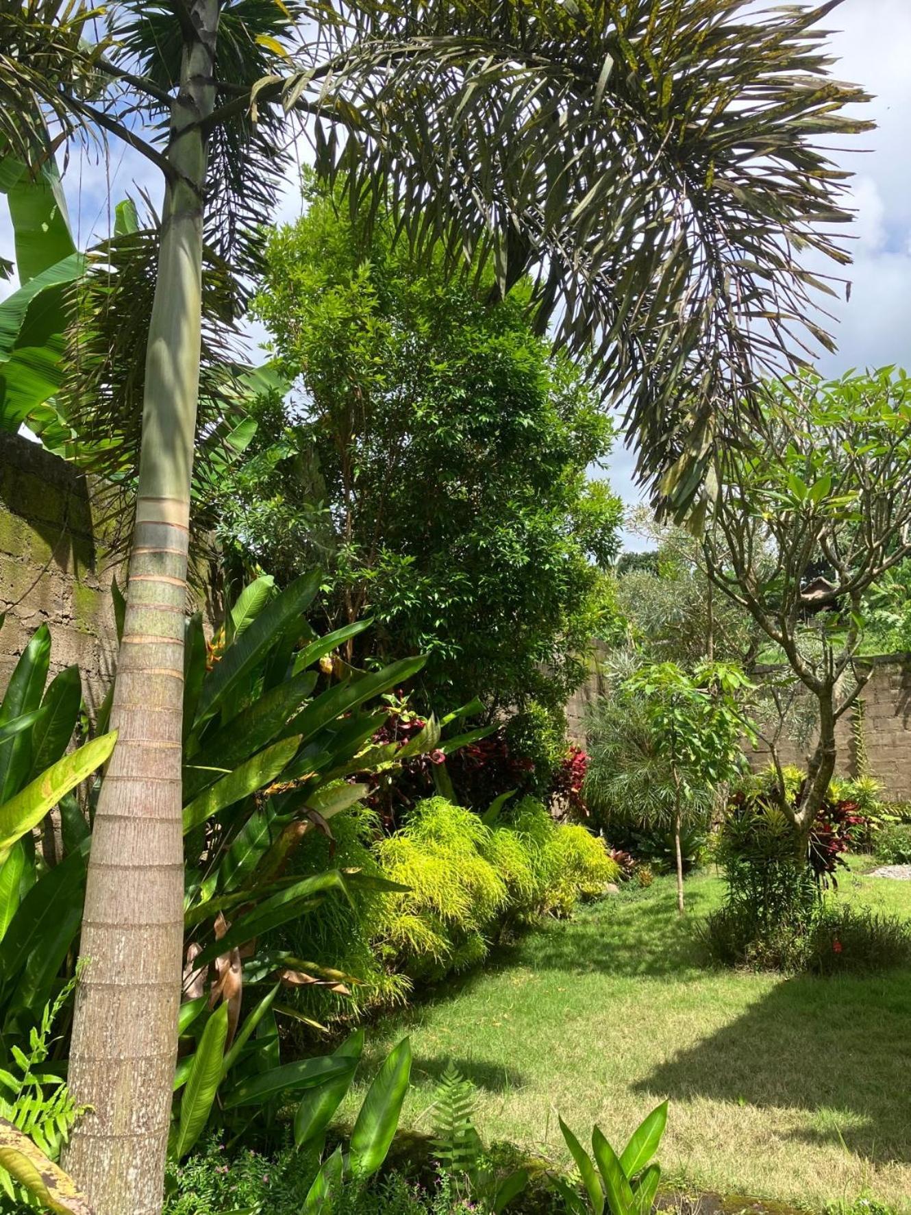 סיידמן Villa Kelana מראה חיצוני תמונה