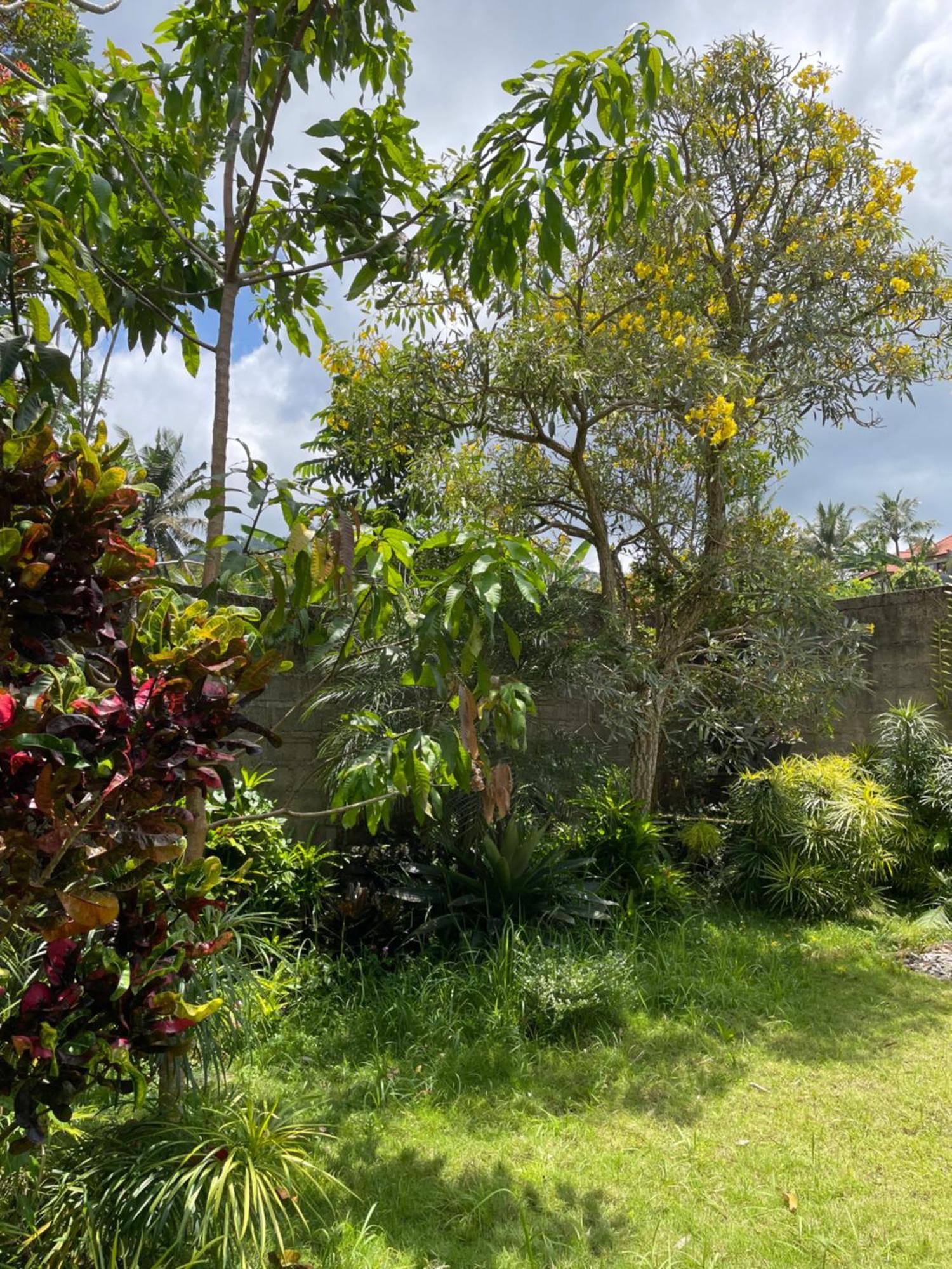 סיידמן Villa Kelana מראה חיצוני תמונה